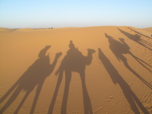 Foto schaduw van mensen op de zandduin