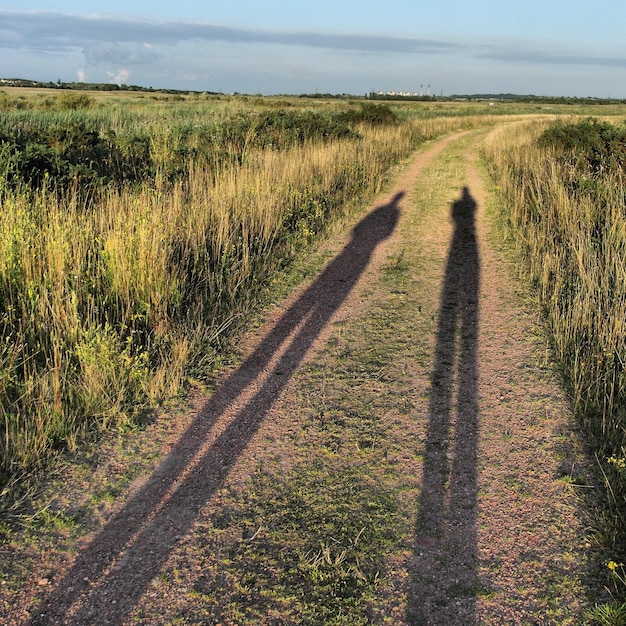 Schaduw van mensen op een onverharde weg te midden van een grasveld.