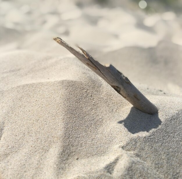 Foto schaduw van mensen op het strand.