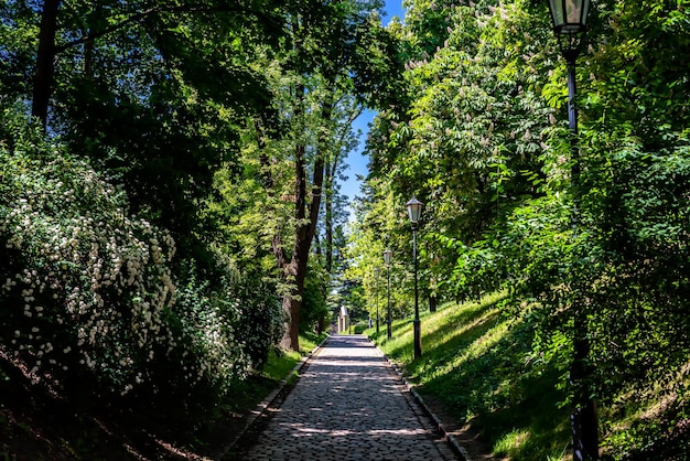 Schaduwrijk pad in vysehrad-park praag, tsjechië