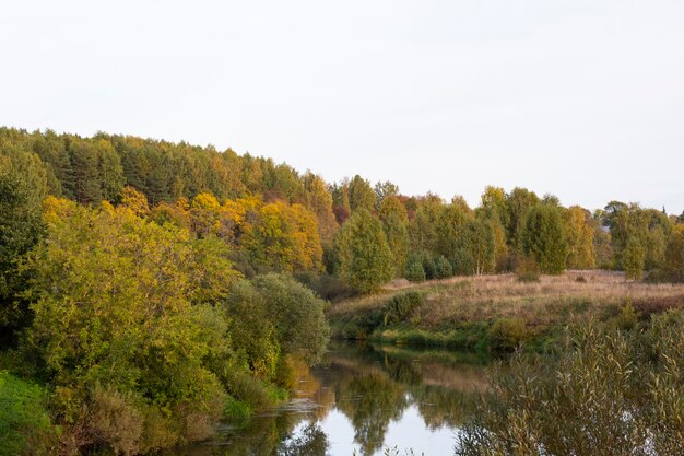 Schaduwrijke bomen waarvan de bladeren geel worden in de herfst midden in een meer met heel helder water