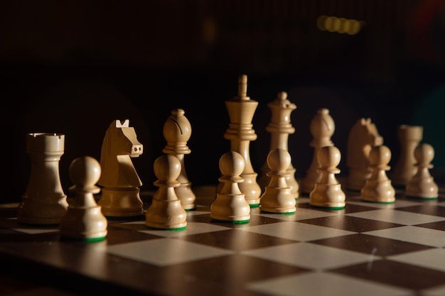 Schaken op schaakbordspel