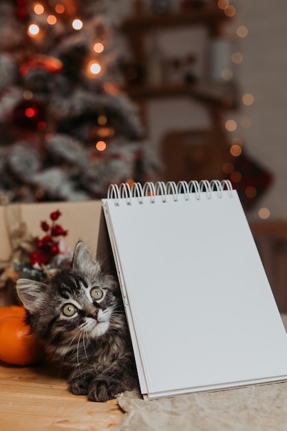 schattig grijs katje met een leeg notitieblok in de keuken voor Kerstmis.