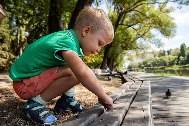 Schattig kind kruipen op bankje in park