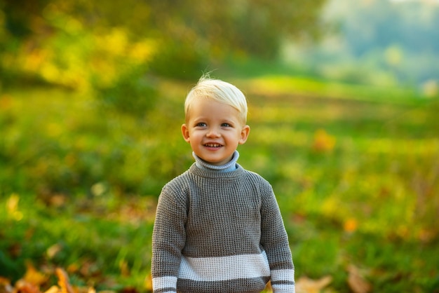 Schattig kind met herfstbladeren in de esdoornbladeren van het schoonheidspark