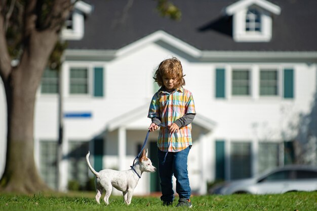 Schattig kind spelen met chihuahua gemengde hond liggend op achtertuin gazon volle lengte van kinderen spelen met ...