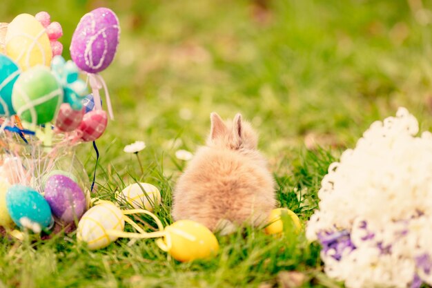 Schattig klein konijntje met bloemen en paaseieren op het gras in de voorjaarsvakantie.