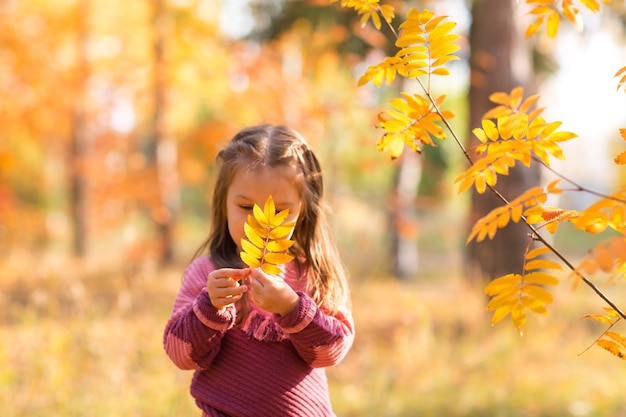 Schattig klein meisje in herfstpark met oranje en gele kleurbladeren