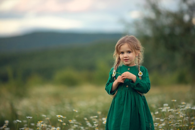 Schattig klein meisje met staartjes is aan het raden op een kamille tegen een achtergrond van groene bergen Zomer kindervakanties reizen met kinderen grappige emoties