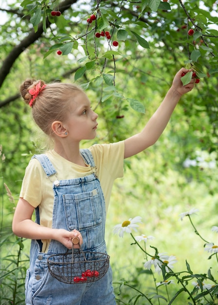 Schattig klein meisje plukt een kers van een boom in de kersentuin