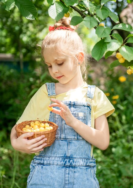 Schattig klein meisje plukt een zoete kers van een boom in de kersentuin