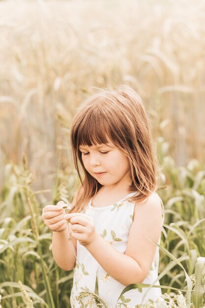 Schattig klein meisje verzamelt bloemen op het veld in de zomer