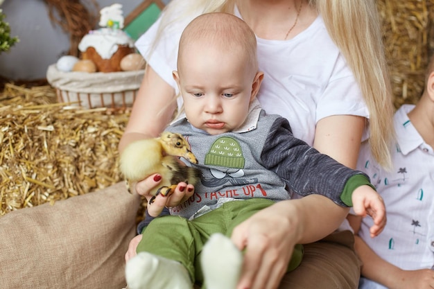 Schattig lief klein kind dat thuis met kleine kuikens speelt