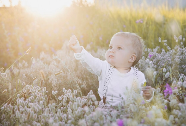 Schattige baby in een veld bij zonsondergang