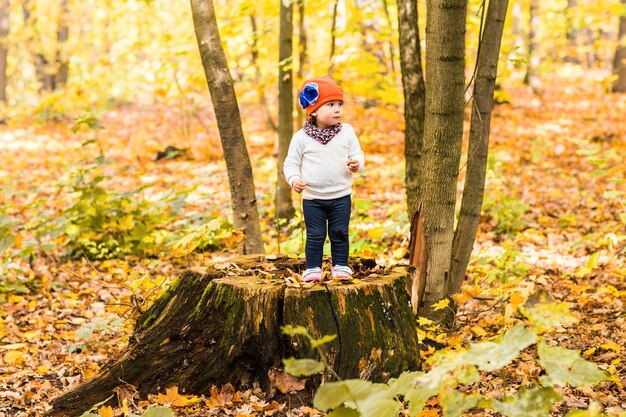 Schattige babymeisje in het herfstbos.