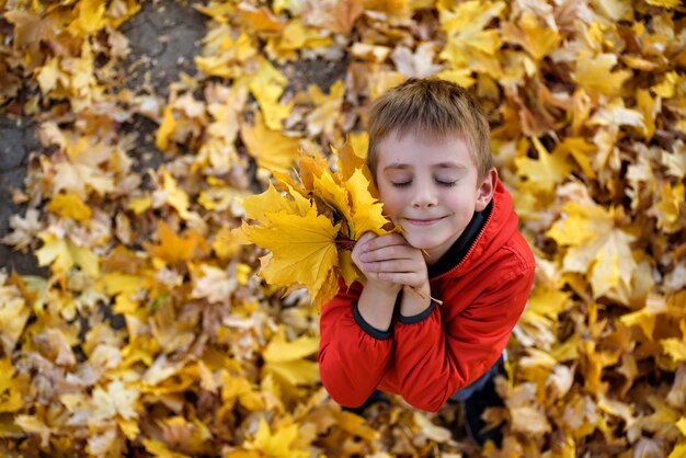 Schattige jongen met gesloten ogen en een boeket van herfstbladeren worden opgezocht