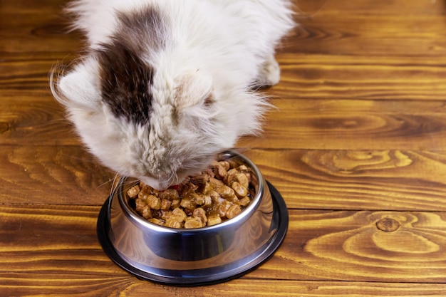 Foto schattige kat die zijn eten eet uit metalen kom op houten vloer