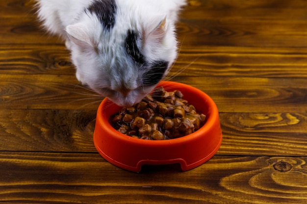 Schattige kat die zijn eten eet uit oranje plastic kom op houten vloer