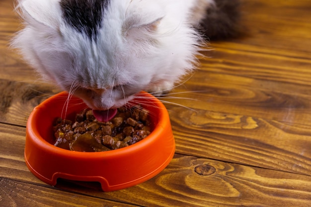 Schattige kat die zijn eten eet uit oranje plastic kom op houten vloer