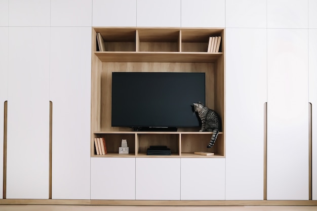 schattige kat in een modern interieur van een woonkamer met tv en een witte kledingkast in Scandinavische stijl minimaal concept