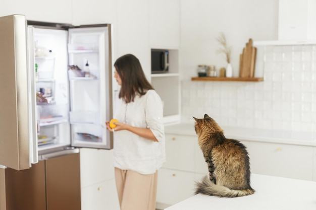 Schattige kat kijkt naar vrouw die koelkast opent en naar binnen kijkt in nieuwe minimale witte keuken Huisvrouw maakt keuken schoon na intrek met haar huisdier in nieuw modern scandinavisch huis