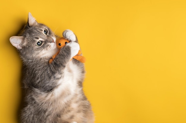 Schattige kat knuffelt zijn gebreide speeltje liggend op een gele achtergrond Ruimte kopiëren