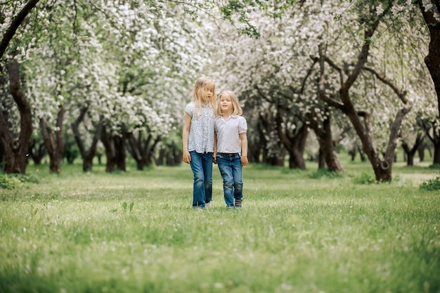 Schattige kinderen staan in een bloeiende tuin Twee zussen lopen in het park tussen de bloeiende tuin