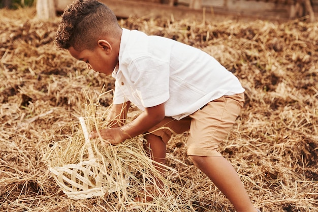 Schattige kleine Afro-Amerikaanse jongen is in de zomer op de boerderij