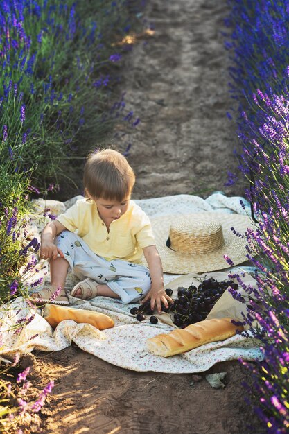 Schattige kleine baby zittend op een deken met eten voor een picknick in een lavendelveld