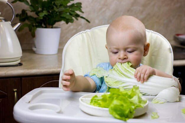 Schattige kleine babyjongen die groen saladeblad eet