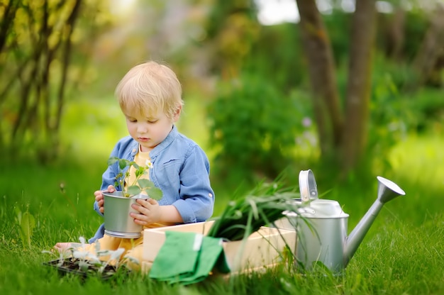 Schattige kleine jongen bedrijf zaailing in ijzeren pot op de binnenlandse tuin op zomerdag