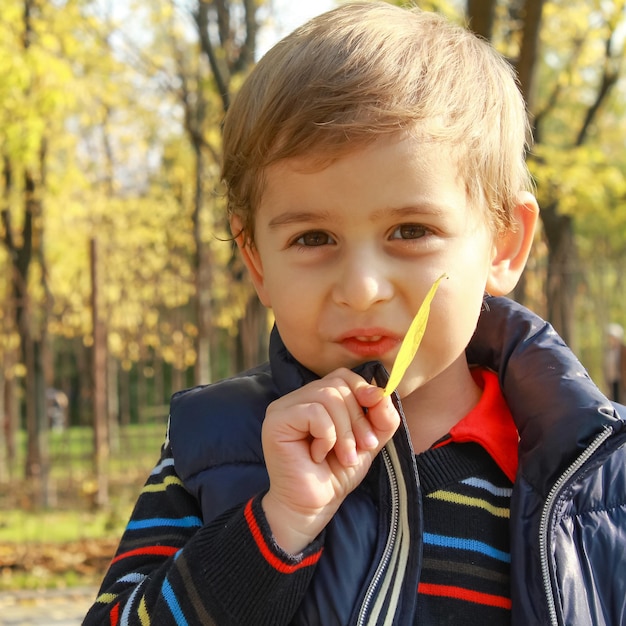 Schattige kleine jongen die in de buurt van de boom in het herfstbos staat