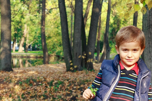 Schattige kleine jongen die in de buurt van de boom in het herfstbos staat