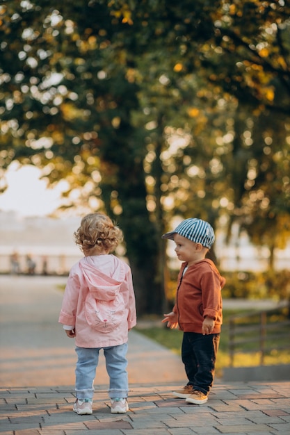 Schattige kleine jongen en meisje samen in herfstpark