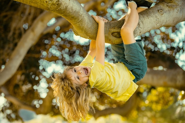 Schattige kleine jongen jongen geniet van klimmen op boom op zomerdag kinderen klimmen bomen ondersteboven hangen