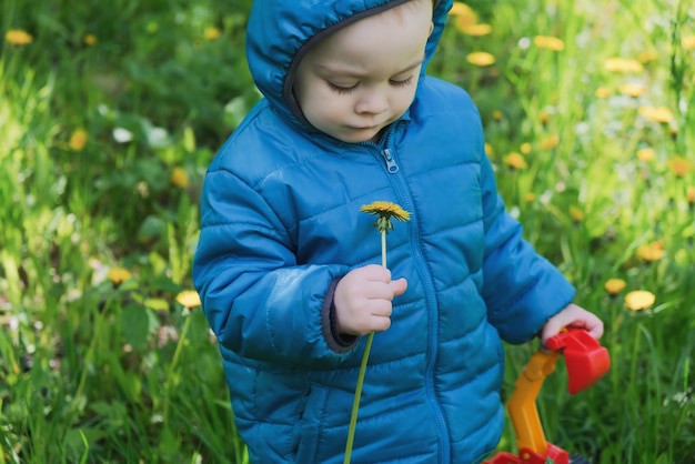 Schattige kleine jongen met paardebloem in zijn hand