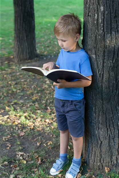 Schattige kleine jongen spelen in het groene park