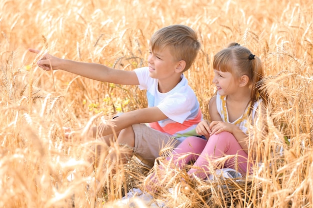 Schattige kleine kinderen in tarweveld op zomerdag