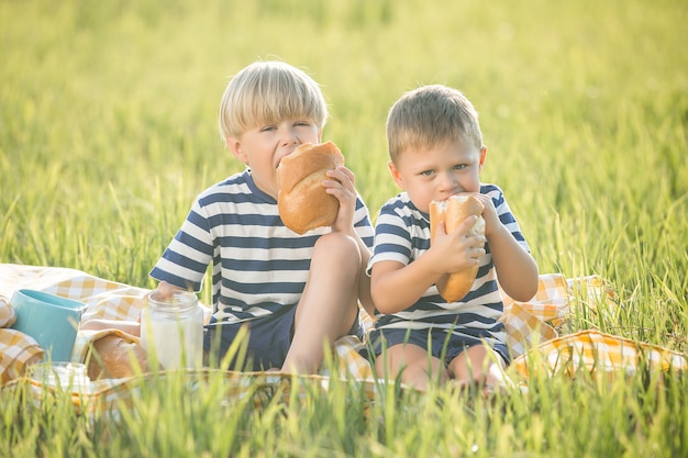 Schattige kleine kinderen op een picknick op een weide