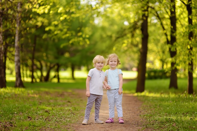 Schattige kleine kinderen spelen samen en hand in hand in het zonnige