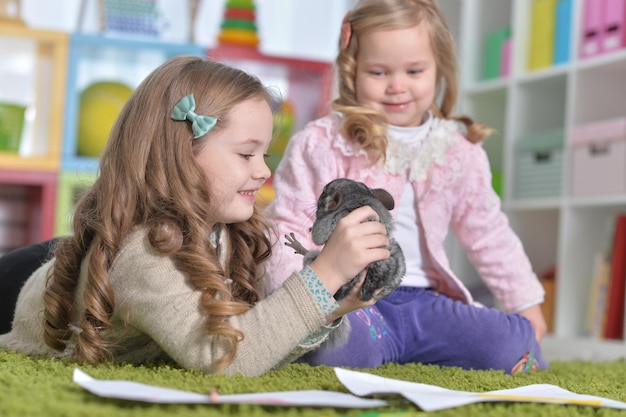 Schattige kleine meisjes spelen met chinchilla