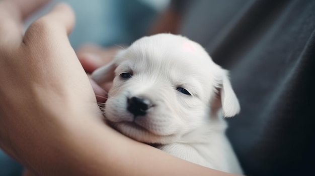 Schattige kleine puppy op handen Illustratie AI GenerativexA