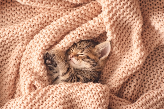 Foto schattige kleine rode kitten slaapt op bont witte deken