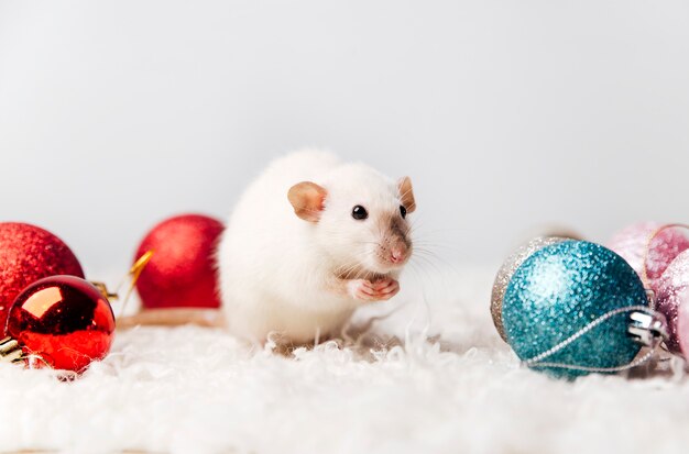 schattige muis in het nieuwjaarsinterieur