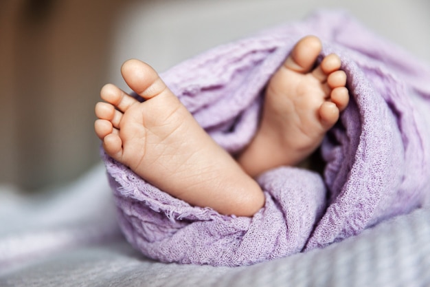 Schattige pasgeboren voeten gewikkeld in paarse deken