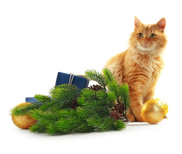 Schattige rode kat met kerstboom en versieringen op witte achtergrond