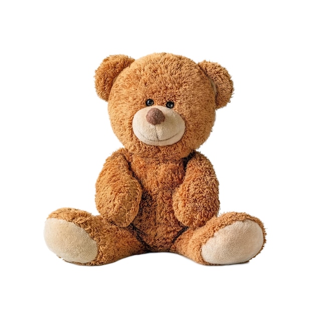 Foto schattige teddy schattige teddybeer geïsoleerd op witte achtergrond