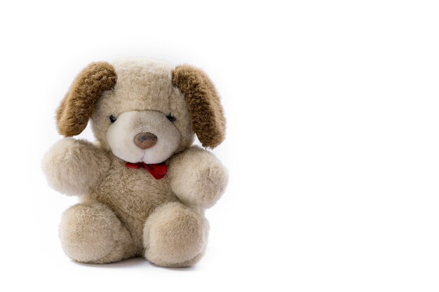 Schattige teddybeer geïsoleerd op een witte achtergrond.