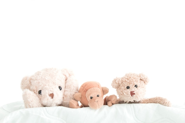 schattige teddybeer