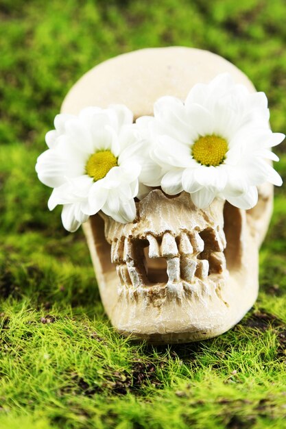 Foto schedel met bloemen op groene grasachtergrond